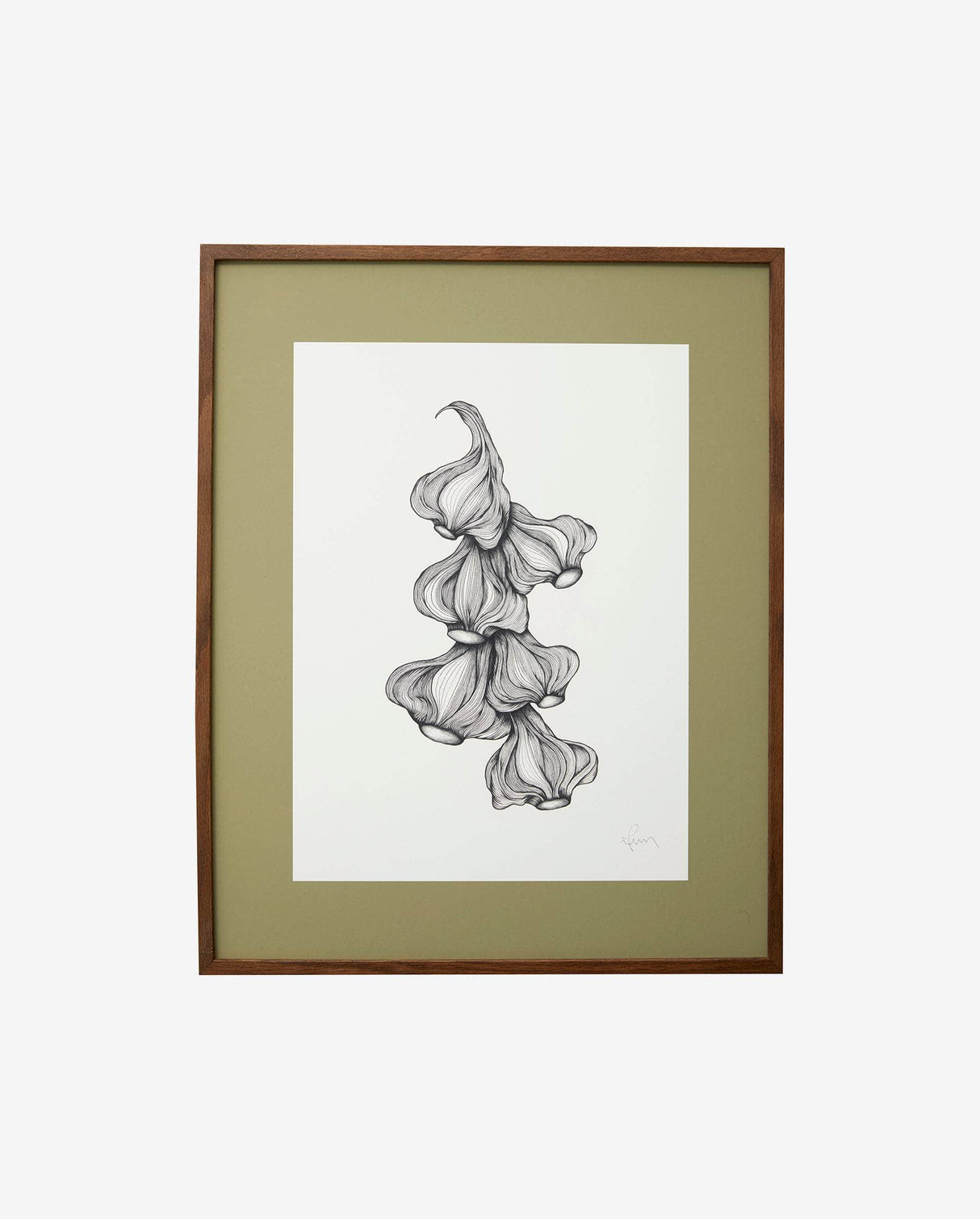 Nordal GARLIC illustration, dark oak frame