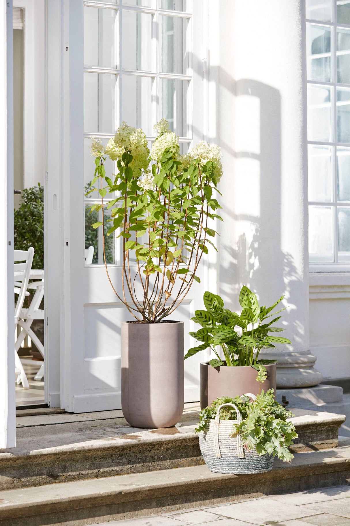 Bahne Pot set High, frost resistant