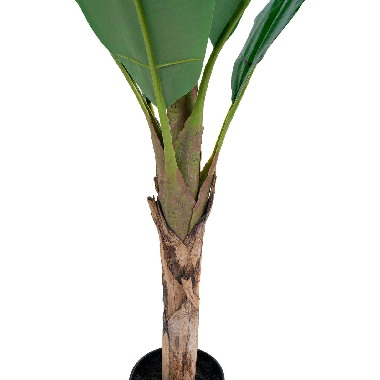 House Nordic Banan Palme