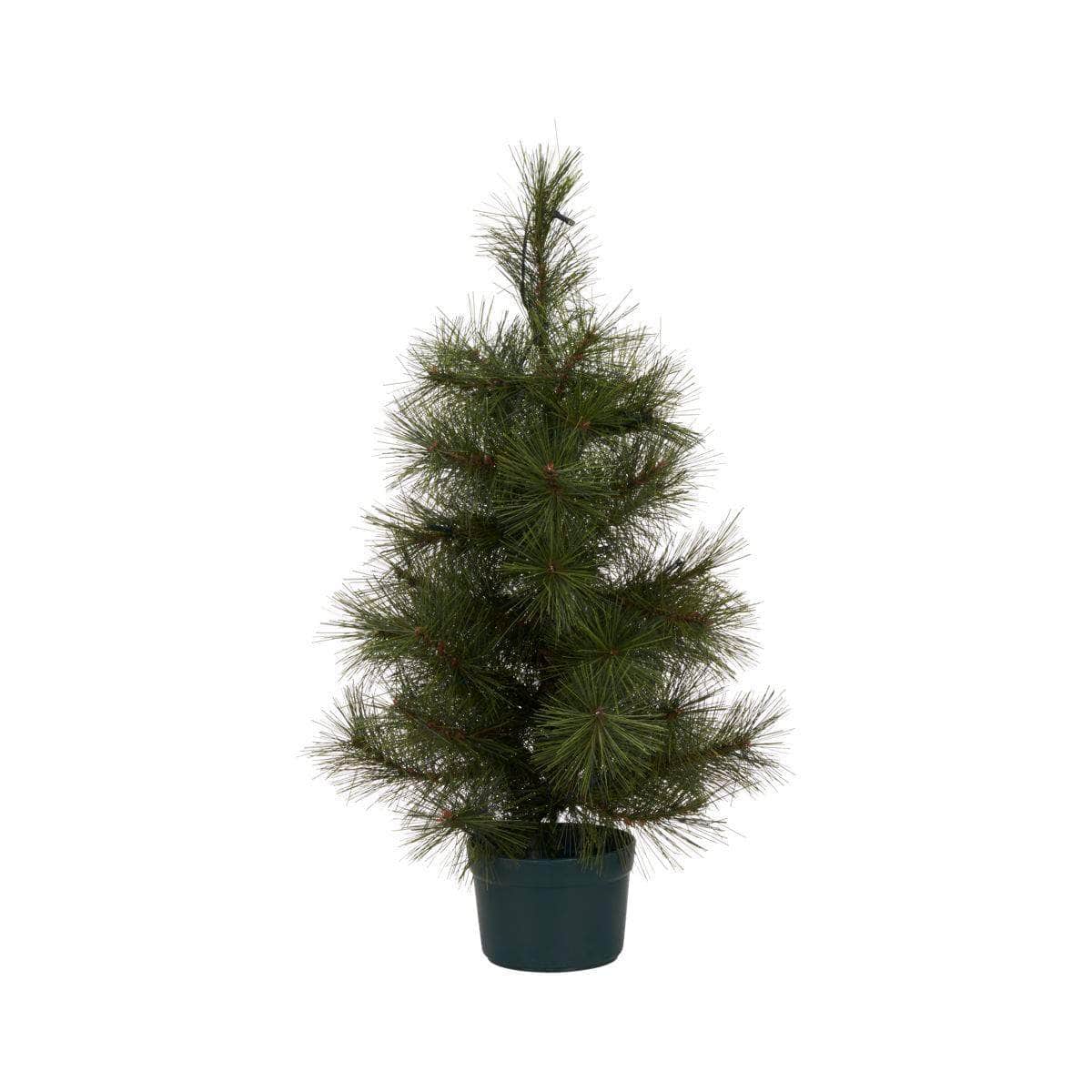 House Doctor Juletræ med LED, Pinus, Natur
