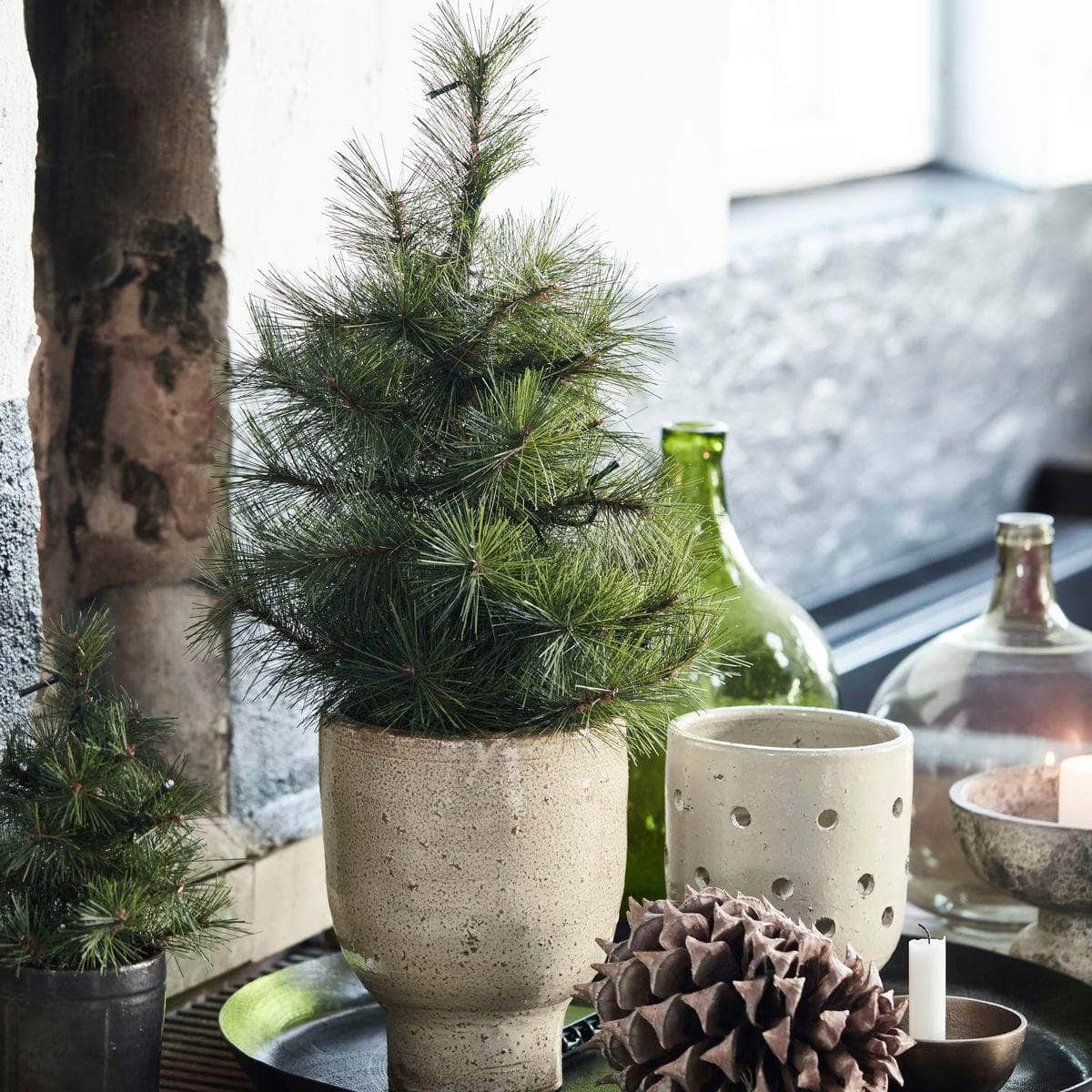 House Doctor Juletræ med LED, Pinus, Natur
