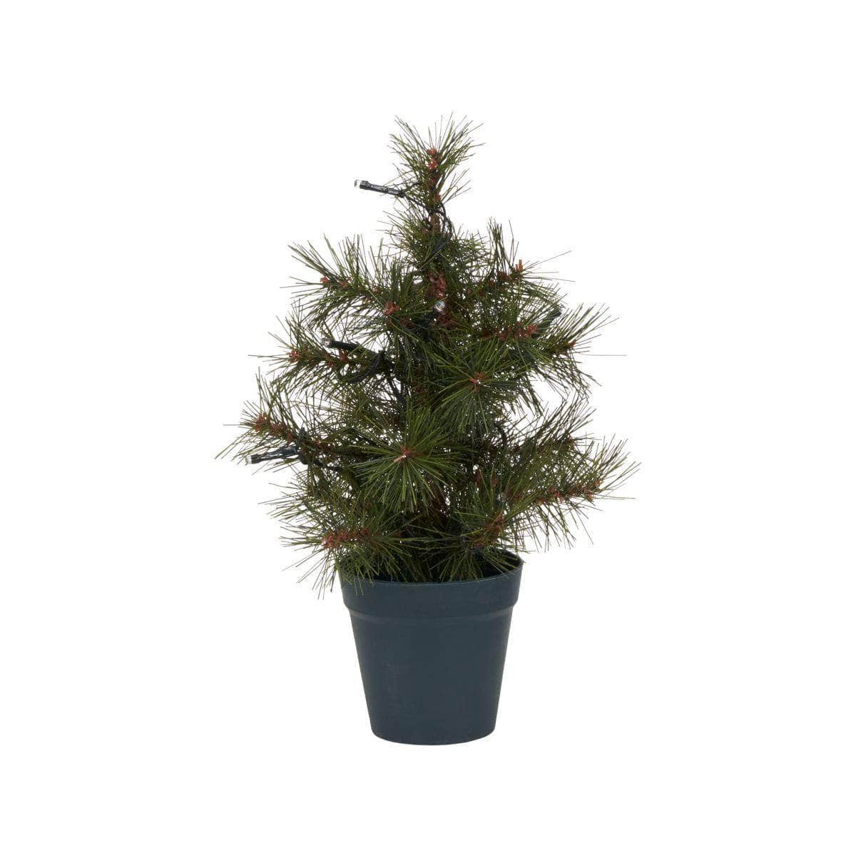 House Doctor Juletræ med LED, Pinus, Natur