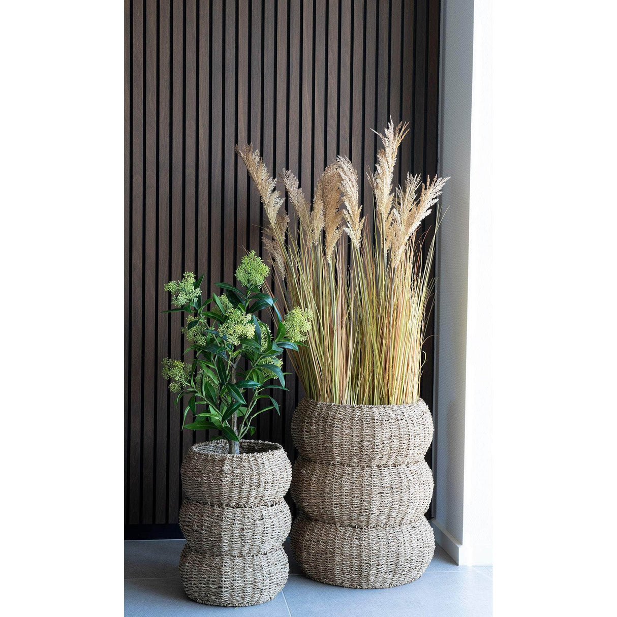 House Nordic Skimmia Træ