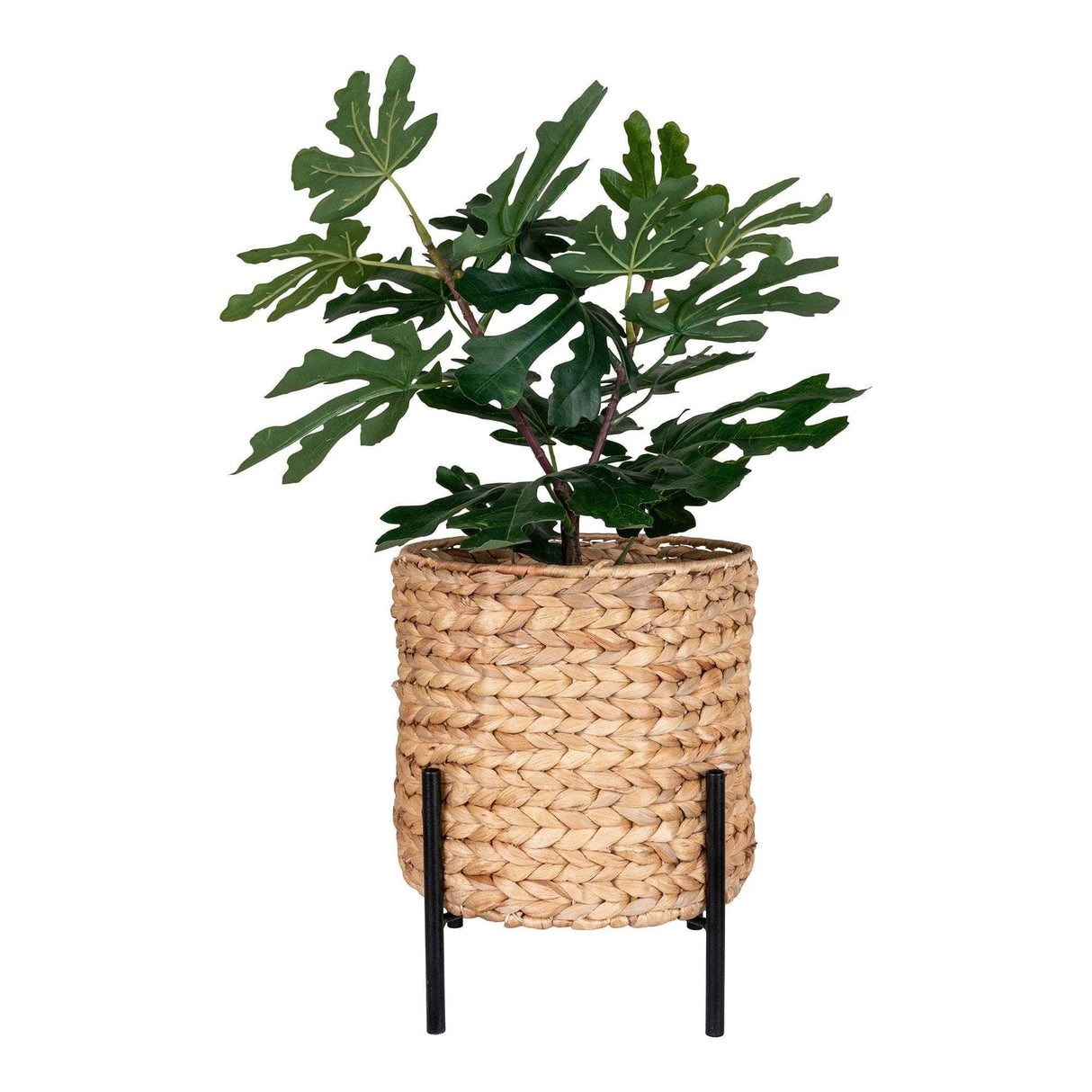 House Nordic Antas Planteskjuler