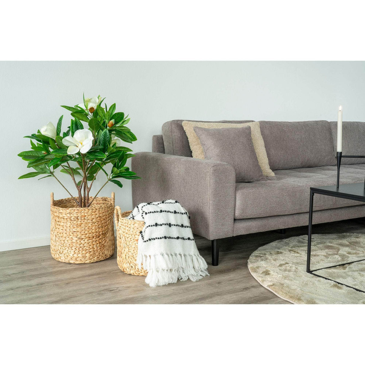 House Nordic Passo Kurve