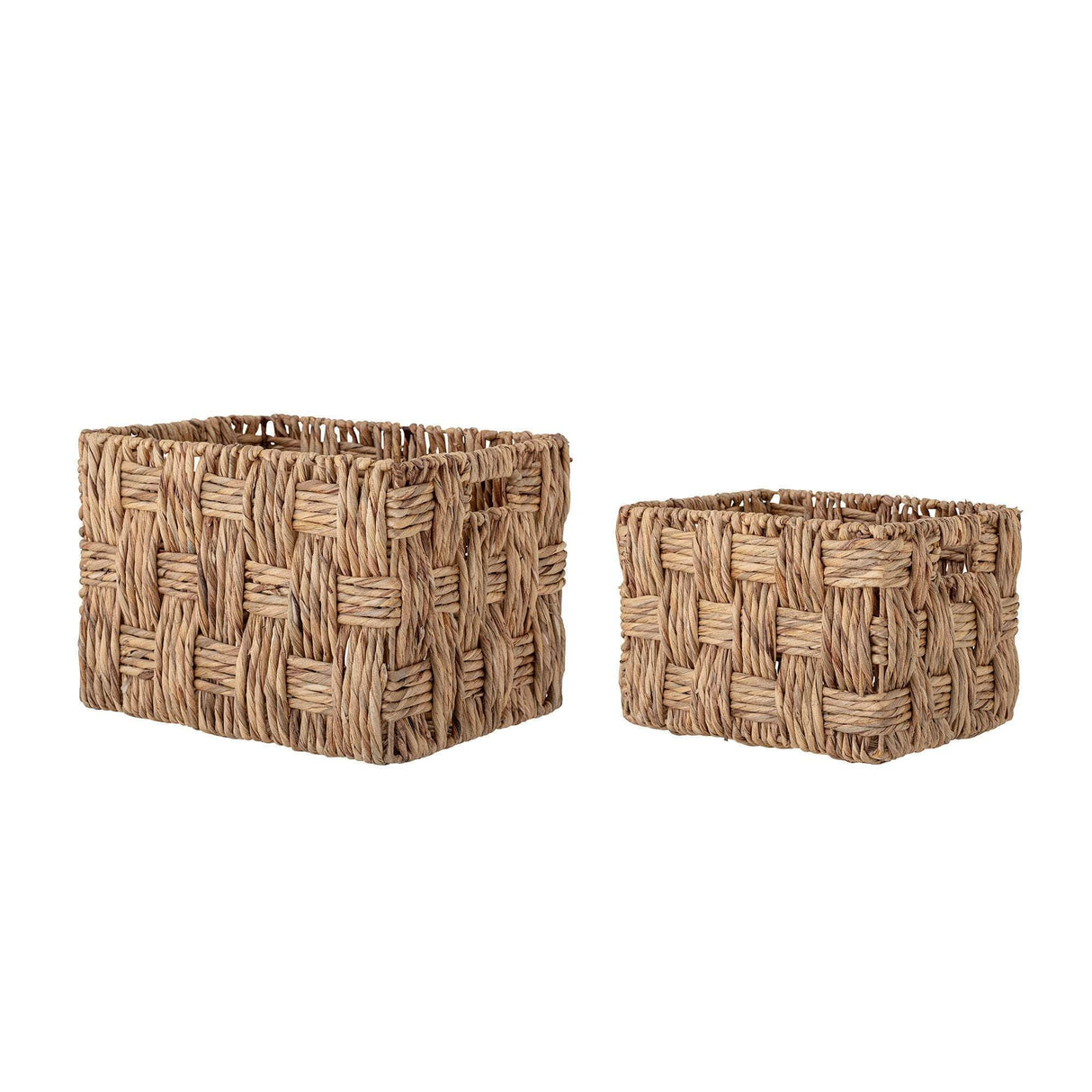 Creative Collection Kasia Kurv, Natur, Vandhyacint