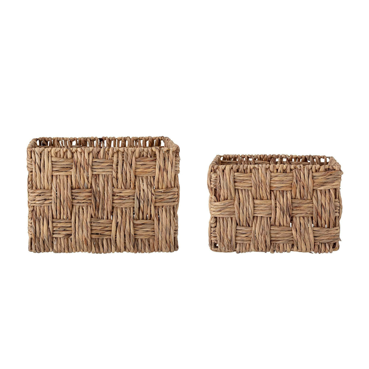 Creative Collection Kasia Kurv, Natur, Vandhyacint