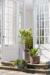 Bahne Pot set High, frost resistant