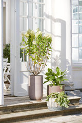 Bahne Pot set High, frost resistant