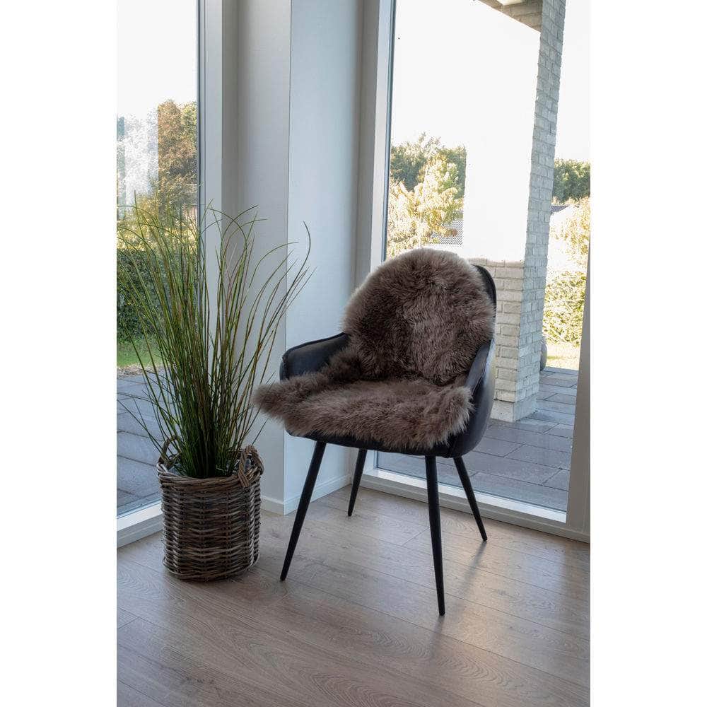 House Nordic Lammeskind