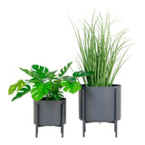 House Nordic Pavia Blomsterstandere
