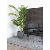 House Nordic Areca Palme