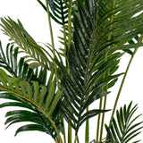 House Nordic Areca Palme