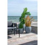 House Nordic Areca Palme