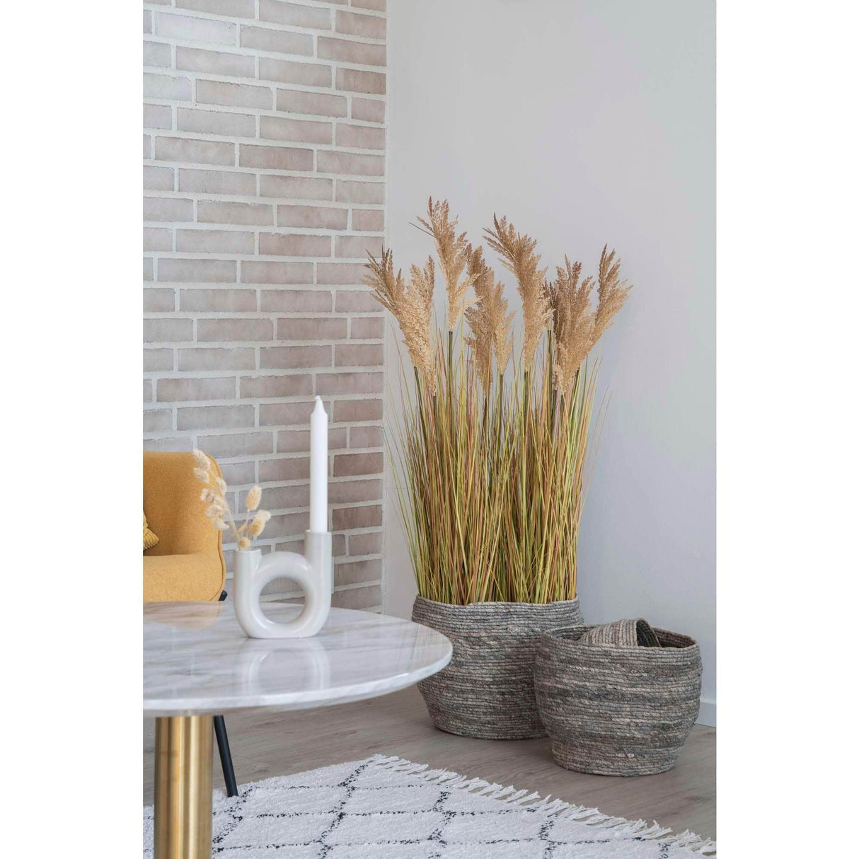 House Nordic Sorghum Grass