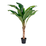 House Nordic Banan Palme