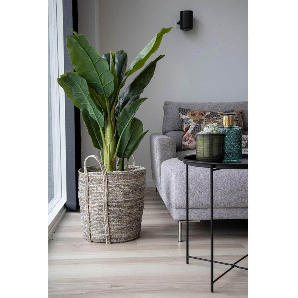 House Nordic Banan Palme