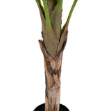 House Nordic Banan Palme