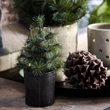 House Doctor Juletræ med LED, Pinus, Natur